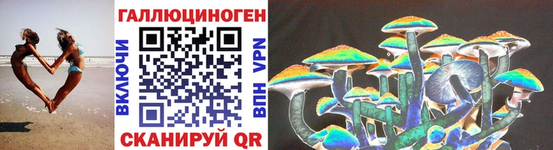 Галлюциногенные грибы Psilocybe  Купить где  Тимашёвск 